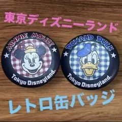 ミニー　ドナルド　缶バッジ　2個セット　レトロ　レア　ディズニー