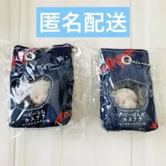 ベビーくまカステラ ロイヤルミルクティー① ガチャ