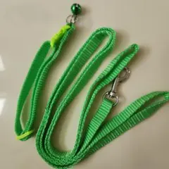 【新品】小型犬·中型犬·ねこ用 首輪&リードセット グリーン 鈴付き 調整可能