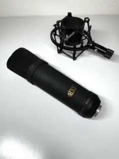 2026年最新】mxl 2003aの人気アイテム - メルカリ