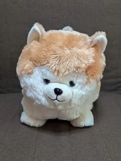 ころりんわんこのモフまるごきげん♪(モチャチャ)