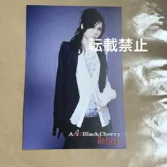 Acid Black Cherry yasu ポストカード 14 Acid Black Cherry yasu ポストカード 14 - メルカリ