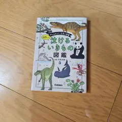 Item thumbnail for item 8bec33d0-7988-48c5-992a-98c381a0aa36