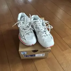 Item thumbnail for item 2eef34c5-8eb3-4b56-827e-be1c32c8710b