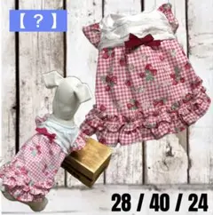 犬服ハンドメイド☆ 【イチゴのワンピース】