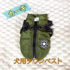 Item thumbnail for item 74eaa052-a07f-4b74-abcd-de9b1e2af25e