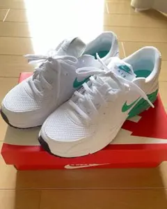 Nike air max excee (エアマックス エクシー)