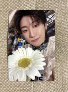 SEVENTEEN THE8 carat盤　封入　トレカ　消費期限