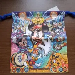 東京ディズニーランド ディズニー夏祭り きんちゃく
