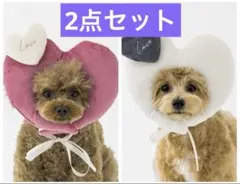 新品未使用品　スリーコインズ　ハート顔ハメ　ペット　バレンタイン　２個セット
