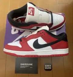NIKE SB DUNK low Pro J-Pack Chicagoのサムネイル