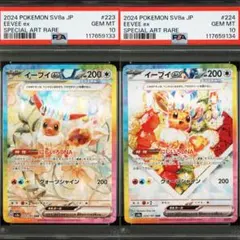 2025年最新】イーブイex SAR psa10 連番の人気アイテム - メルカリ