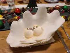 自然の芸術品 シャコガイの殻（2点セット） 置物