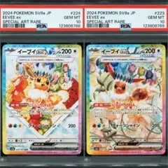 ポケモンカード イーブイex sar ARS10+ 2025年最新】イーブイ sar psa10の人気アイテム - メルカリ