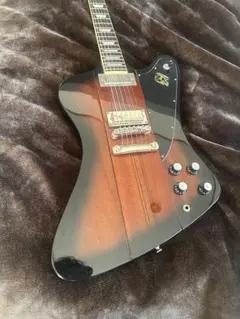 2026年最新】ファイヤーバード ギターケースの人気アイテム - メルカリ