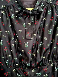 Item thumbnail for item 160feb53-14ca-49a1-97f0-c8f78b635562