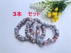 Item thumbnail for item 069fb626-e652-4fed-b2cd-d67f2178bba6