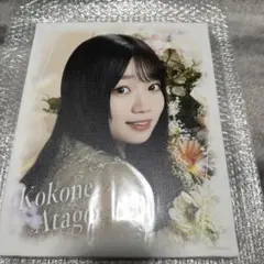 Item thumbnail for item 97537bfb-394e-4e6e-8bcc-675d2a61dd27