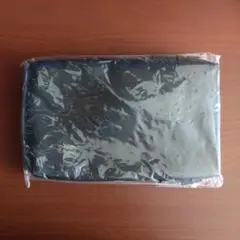 로베르타 디 카멜리노 × 커브스 참신 파우치 블랙 미사용