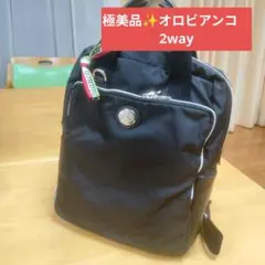 極美品 オロビアンコ 2way A4可リュック トートバッグ ナイロン レザーのサムネイル