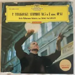 レコード KARAJAN 華麗なるカラヤン名曲の世界 10枚組ブックケース入 2026年最新】KARAJAN 華麗なるカラヤン 名曲の世界 レコードの人気