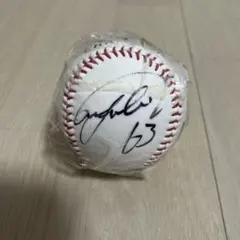 2026年最新】日本ハムファイターズ サインボールの人気アイテム - メルカリ