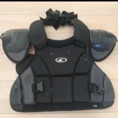 Item thumbnail for item 7c496e6f-cea1-46a0-bb7f-950b62925944