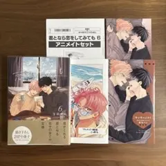 君となら恋をしてみても6巻　アニメイト特典小冊子　窪田マル