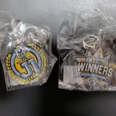 ジュビロ磐田　アクリルキーホルダー　J2優勝&昇格記念　２種