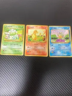 Bulbasaur Squirtle Set フシギダネとゼニガメ - メルカリ