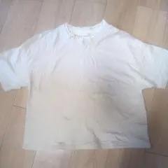 ハニーズ　レース襟 半袖Tシャツ 薄ベージュ
