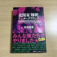 北関東「移民」アンダーグラウンド ベトナム人不法滞在者たちの青春と犯罪