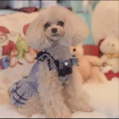 グレンチェック犬用ワンピースXS KALINA