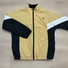 Item thumbnail for item e203e75c-fbf7-4ecb-8b7d-603661f9c9f8