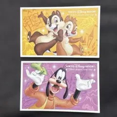 東京ディズニーリゾート チケット 2枚セット　利用済