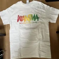 WANIMA Tシャツ Mサイズ