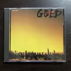 美品 甲斐バンド GOLD 黄金
