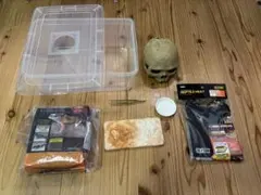 2026年最新】爬虫類飼育セットの人気アイテム - メルカリ