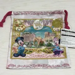 ディズニーシー ファンタジースプリングス きんちゃく