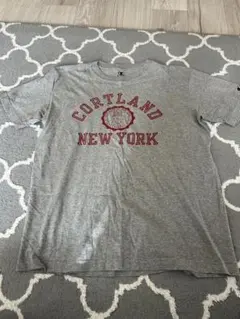 Champion Tシャツ Lサイズ　チャンピオン