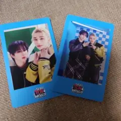 Stray Kids TOY WORLD カード

