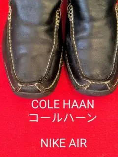 Item thumbnail for item 2434bdd0-4422-4e01-ab7d-8346f394612f