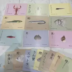水の生き物カード 23枚セット