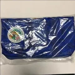 【新品】ディズニーバケーションパッケージ クッション付きバッグ