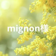 mignon様 リクエスト 3点 まとめ商品