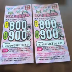 テルメ金沢 入館券 2026年2月28日まで - メルカリ