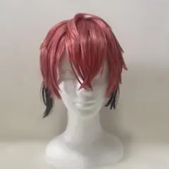 にじさんじ 赤城ウェン ウィッグ Vtuberにじさんじ 赤城ウェン あかぎうぇん Akagi Wen コスプレウィッグ
