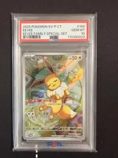 2025年最新】イーブイ ar 海外の人気アイテム - メルカリ