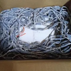 Item thumbnail for item 081d77e7-3854-4021-ac46-afdd357544e1