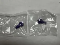 Item thumbnail for item 29926c21-a6d2-4455-8015-13d70eb28200